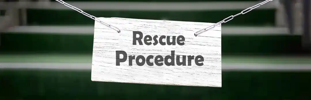 Rescue Procedure